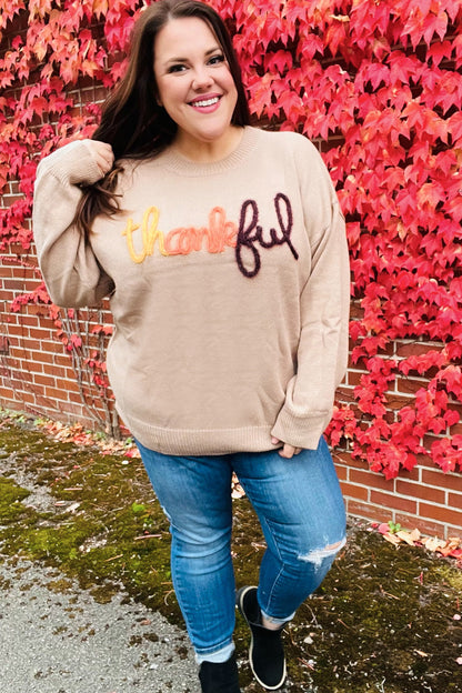 Aída® | Feeling Thankful Pop-up-Pullover mit glitzernder Stickerei in Taupe