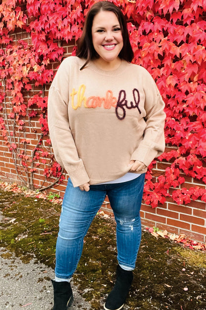 Aída® | Feeling Thankful Pop-up-Pullover mit glitzernder Stickerei in Taupe