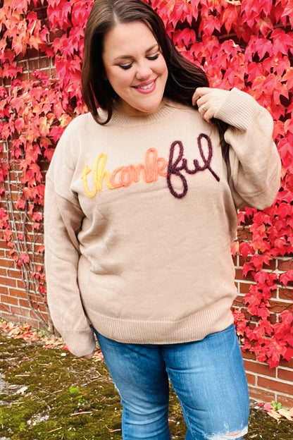 Aída® | Feeling Thankful Pop-up-Pullover mit glitzernder Stickerei in Taupe